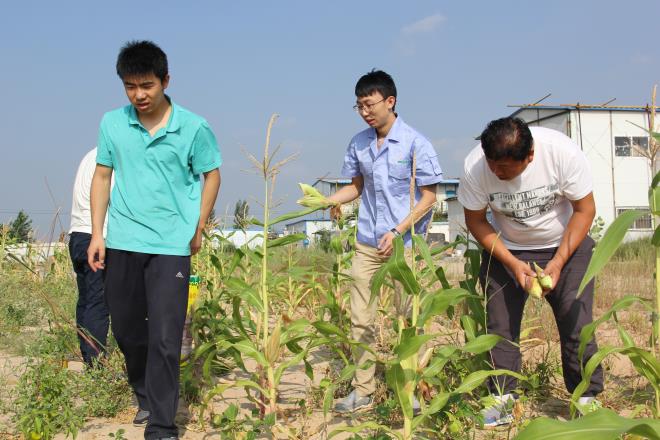 多彩生活——摘蔬菜、掰玉米